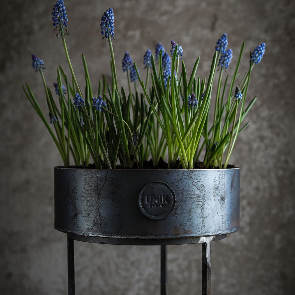 Rund stålkruka – låg planteringsmodell