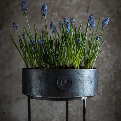 Rund stålkruka – låg planteringsmodell