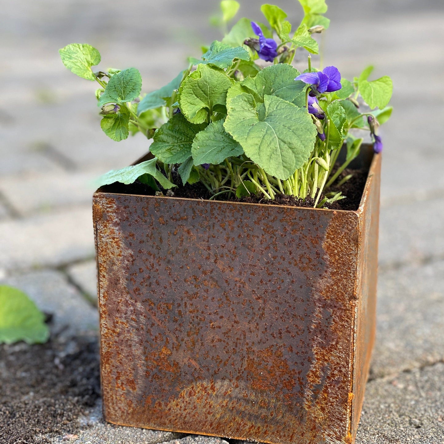 Unik By Hand Krukor Stålkruka – 13 cm