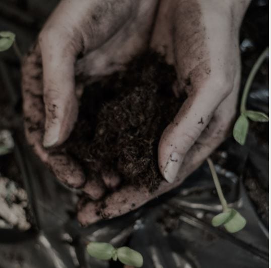 Yard Etc Handskrubb Yard Etc. Hand Scrub – Oak Moss 300 g