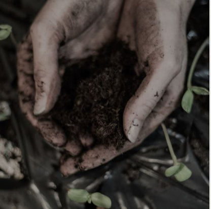 Yard Etc Handtvål Yard Etc. Hand Soap – Oak Moss 350 ml